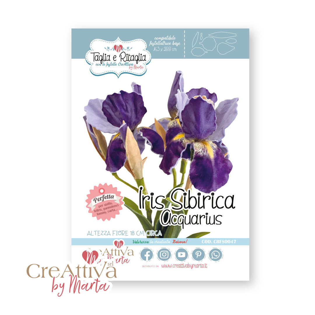 FUSTELLA IRIS SIBIRICA ACQUARIUS - CRFS004700