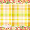 PANNO MORBIDOSO STAMPATO DECO TARTAN FRUTTOSO BORDO 45X50CM - CRGOGO1300 - immagine 2