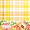 PANNO MORBIDOSO STAMPATO DECO TARTAN FRUTTOSO BORDO 45X50CM - CRGOGO1300 - immagine 3
