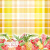 PANNO MORBIDOSO STAMPATO DECO TARTAN FRUTTOSO BORDO 45X50CM - CRGOGO1300 - immagine 4