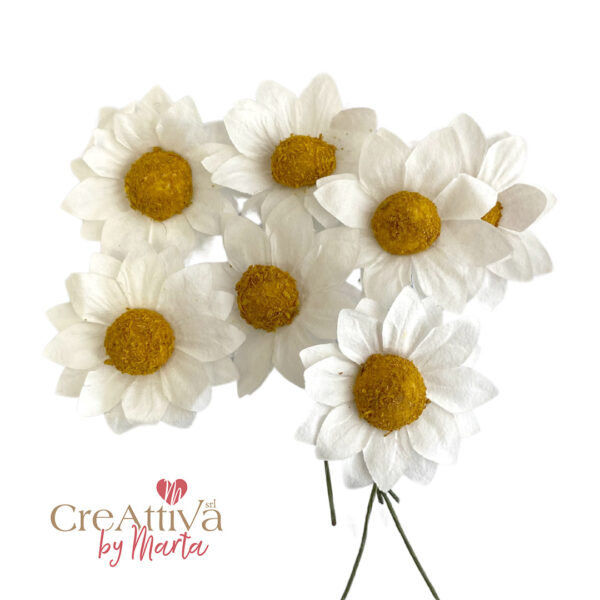 SET 12 FIORI CAMOMILLA IN CARTA 3,5CM - 78DEC214