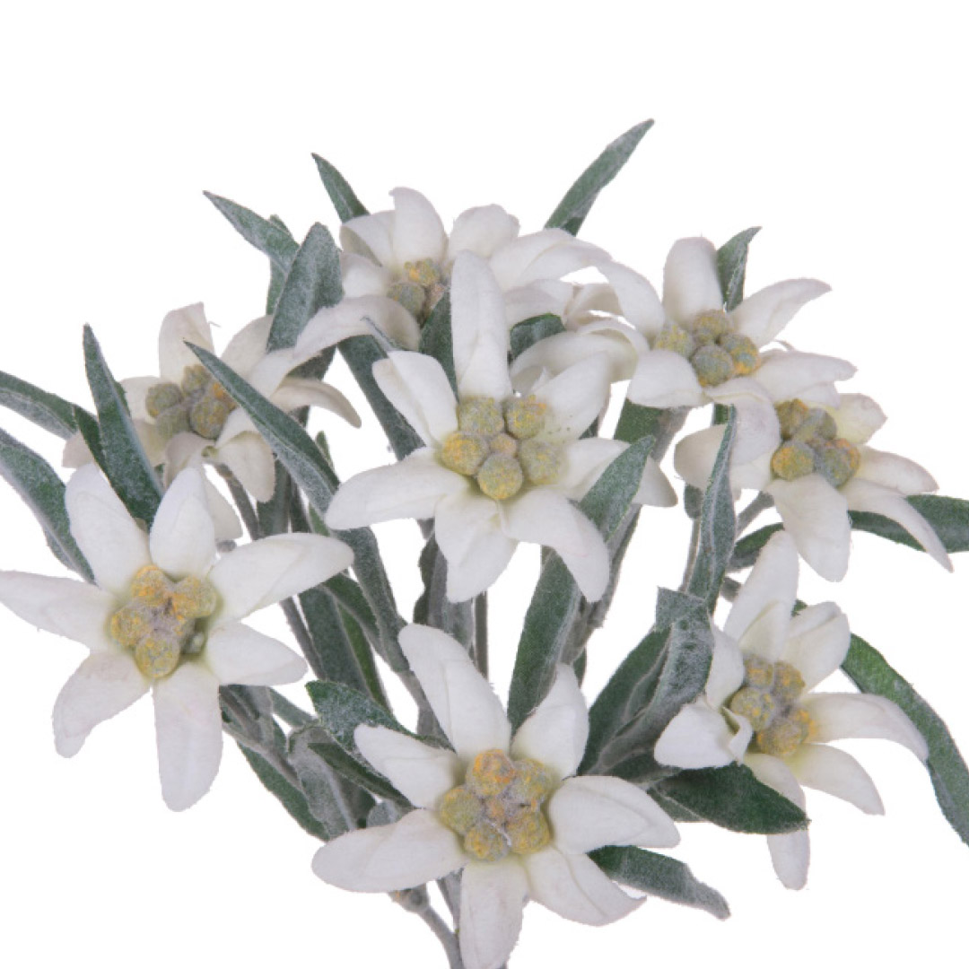 tessuto cinigliato cm 150x3mt