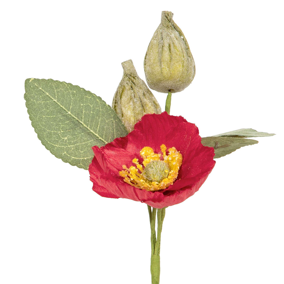 Finto papavero rosso con boccioli verdi