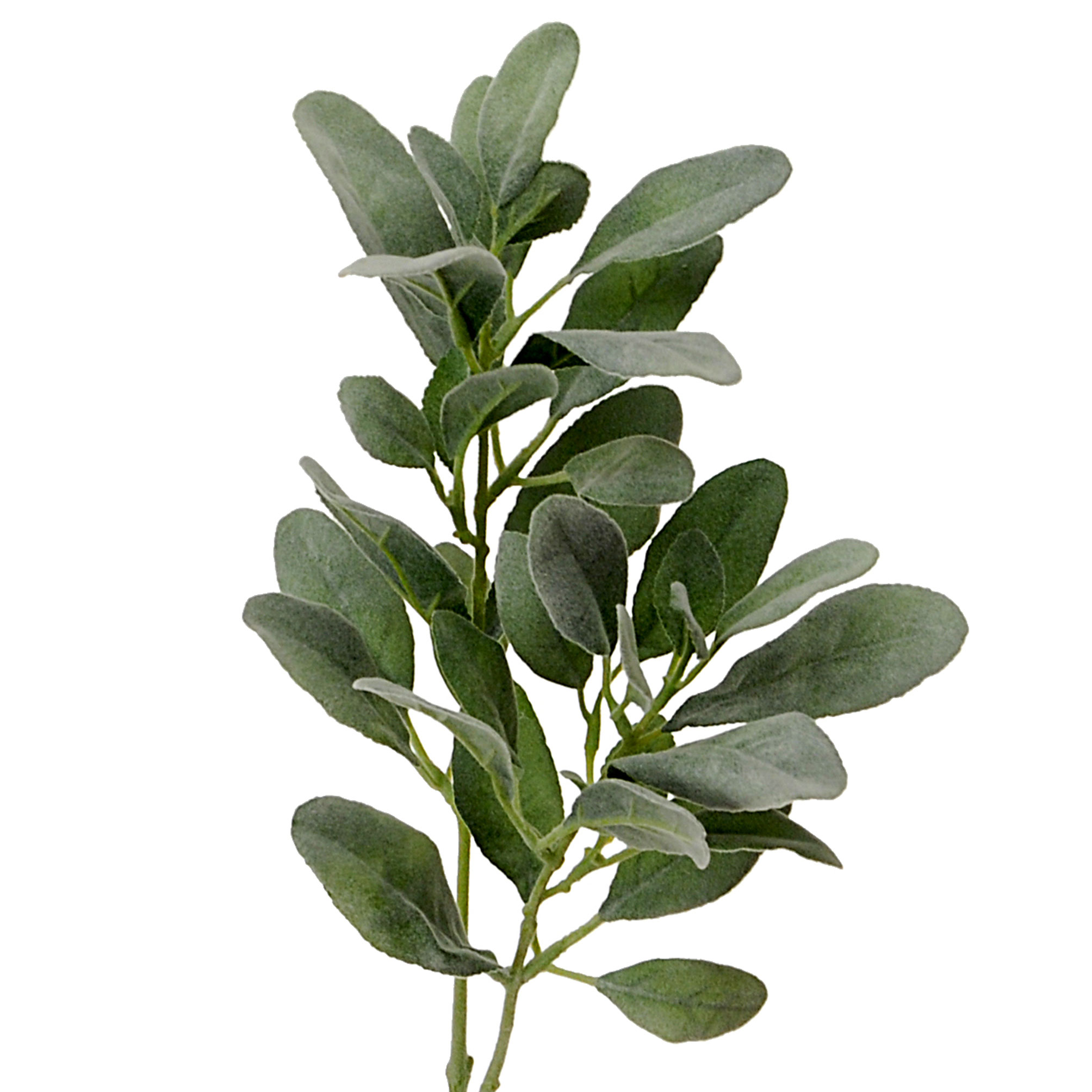 ramo di salvia 75 cm natural touch 99bot003