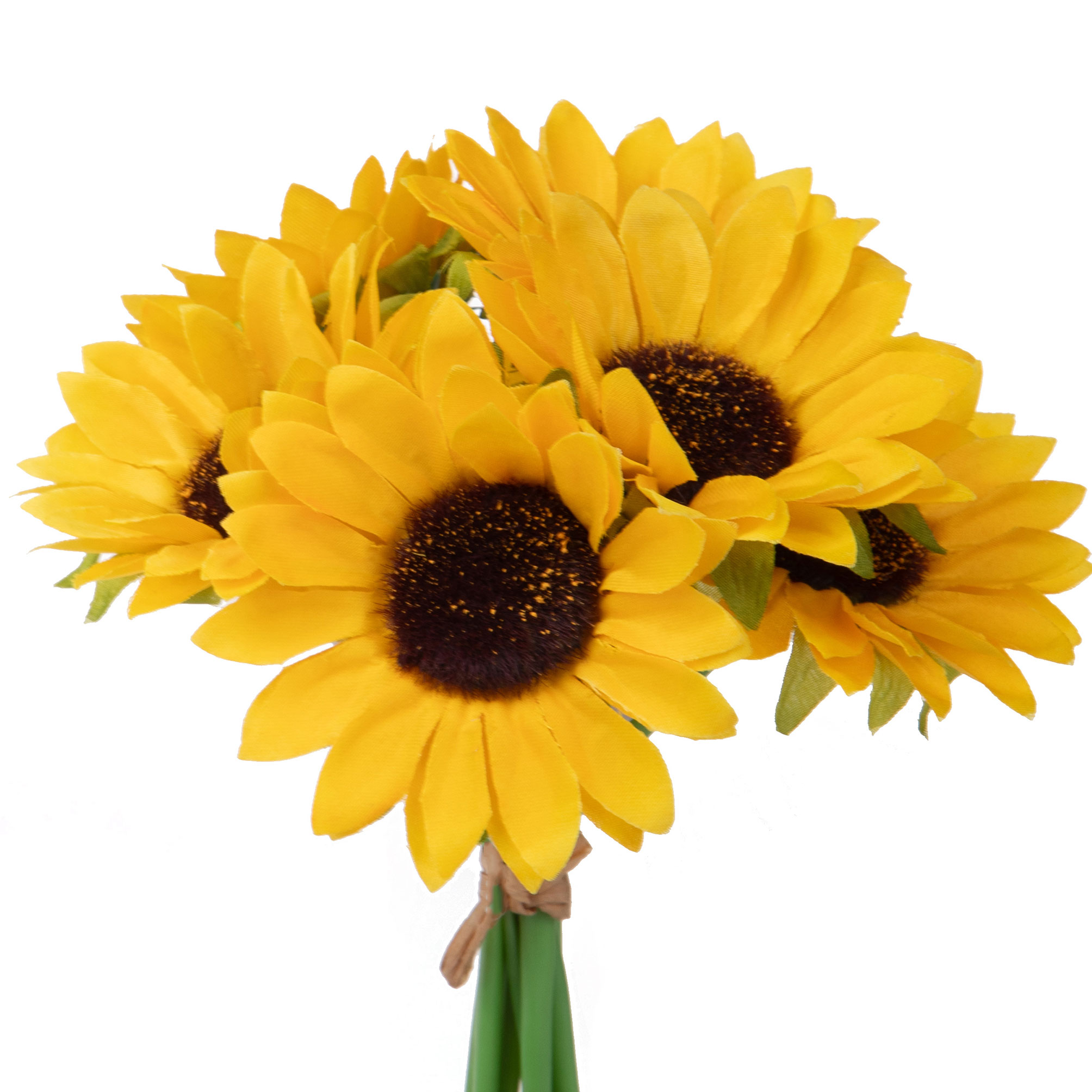 girasole 22 cm 99bot002