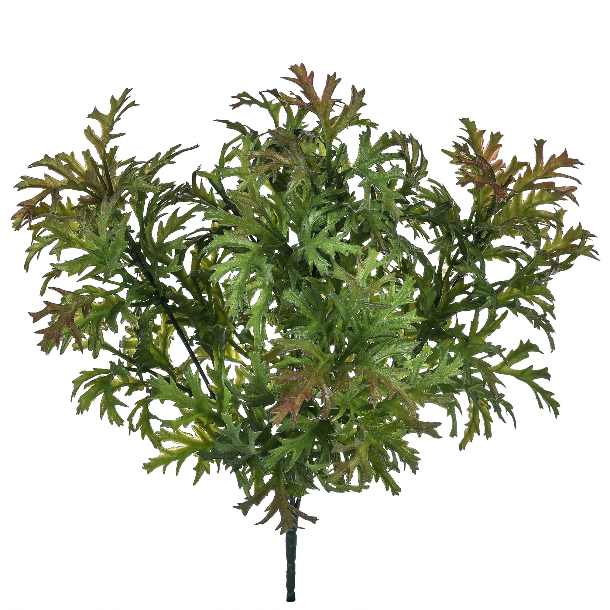 girasole 22 cm 99bot002