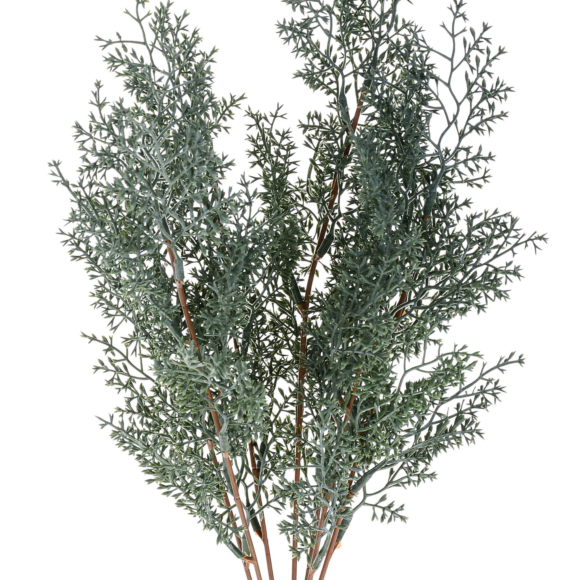 girasole 22 cm 99bot002