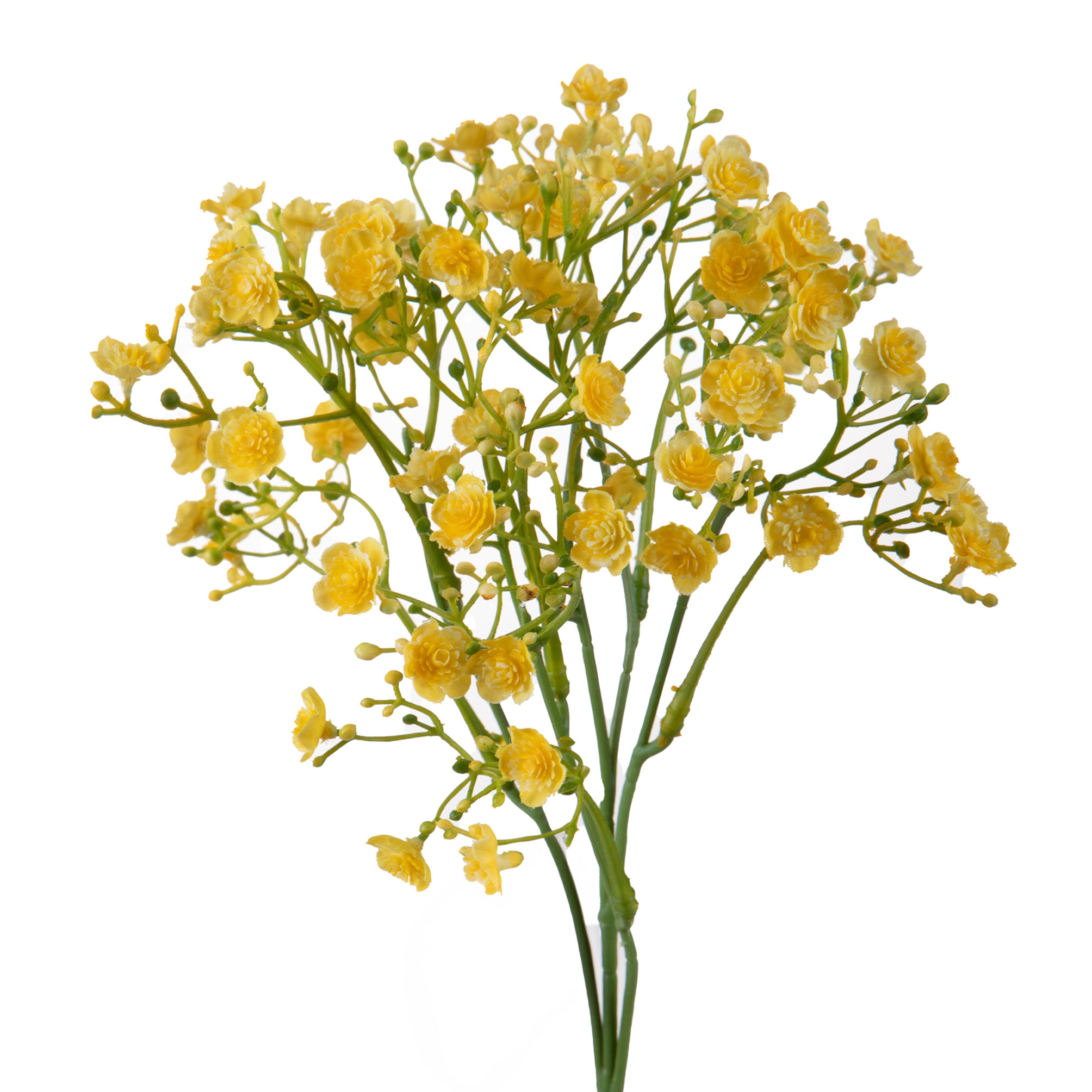 girasole 22 cm 99bot002