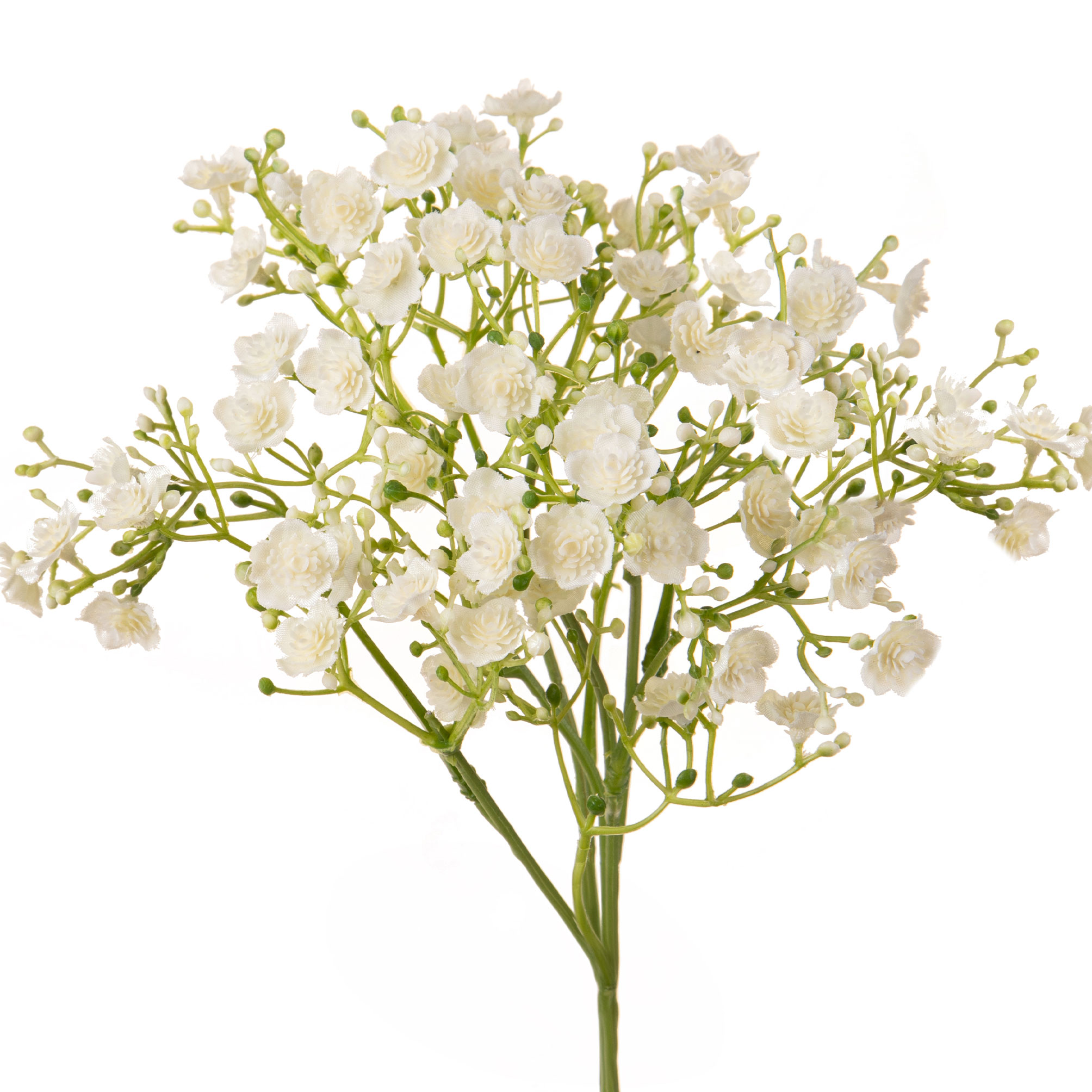 girasole 22 cm 99bot002