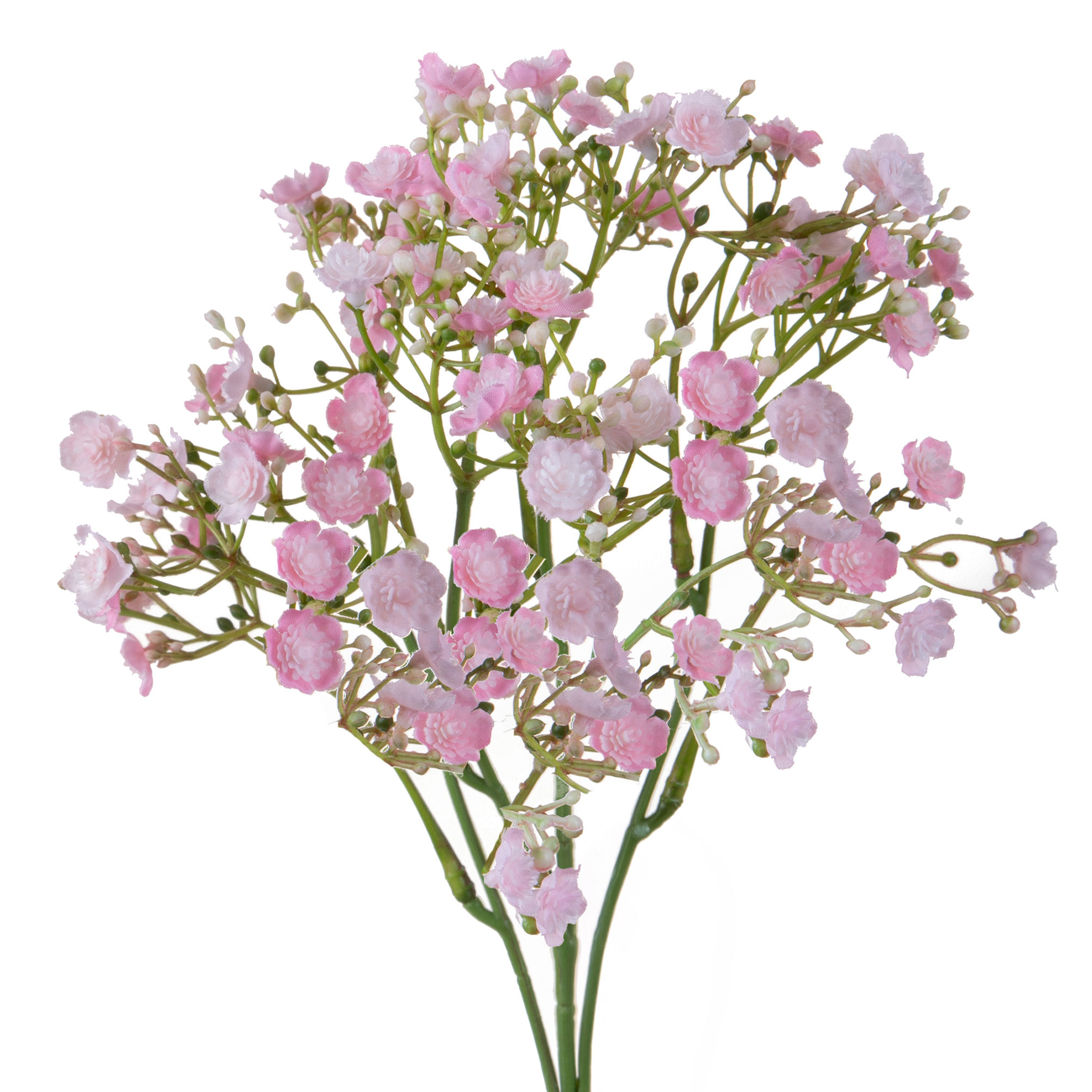 girasole 22 cm 99bot002