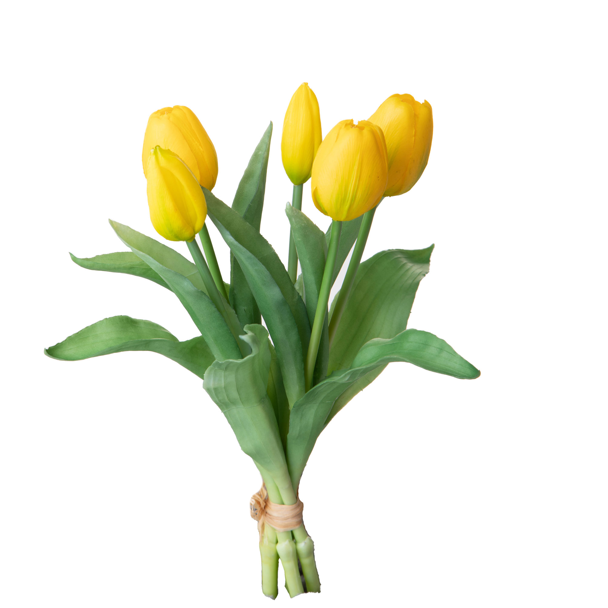 girasole 22 cm 99bot002