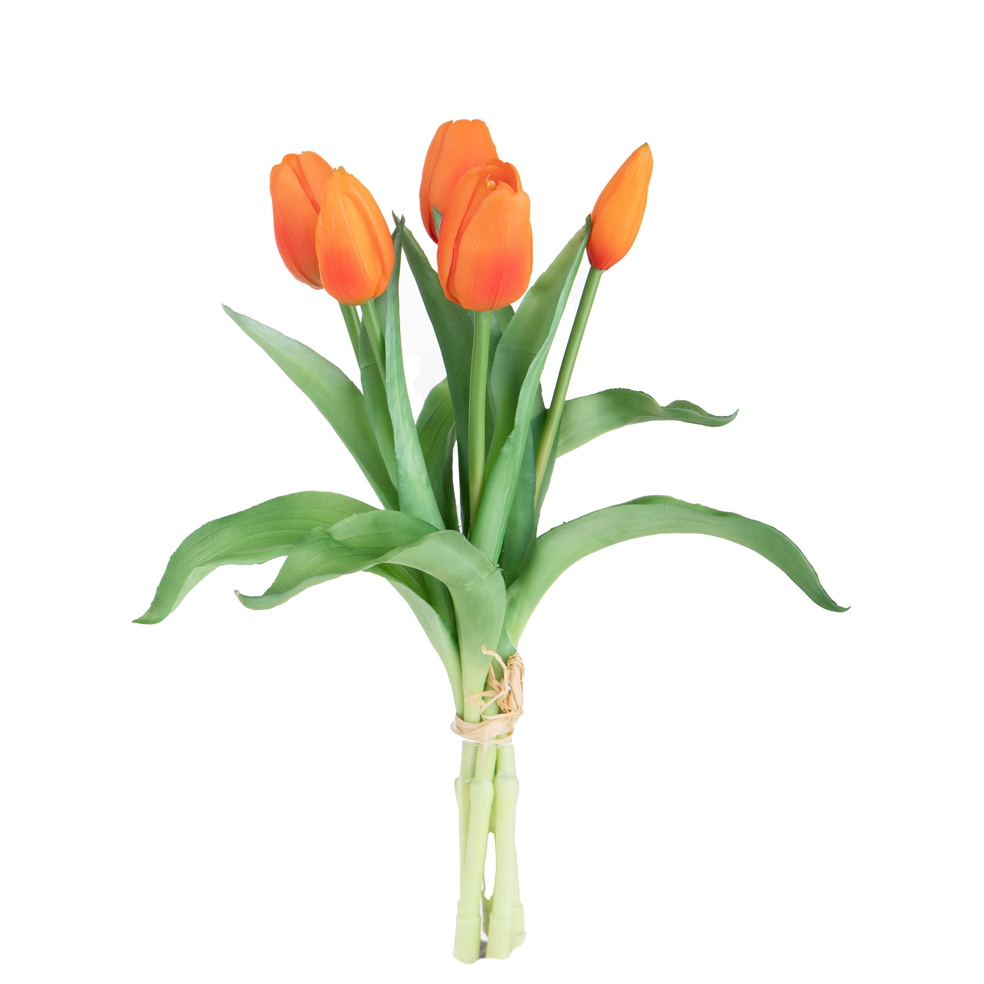 girasole 22 cm 99bot002