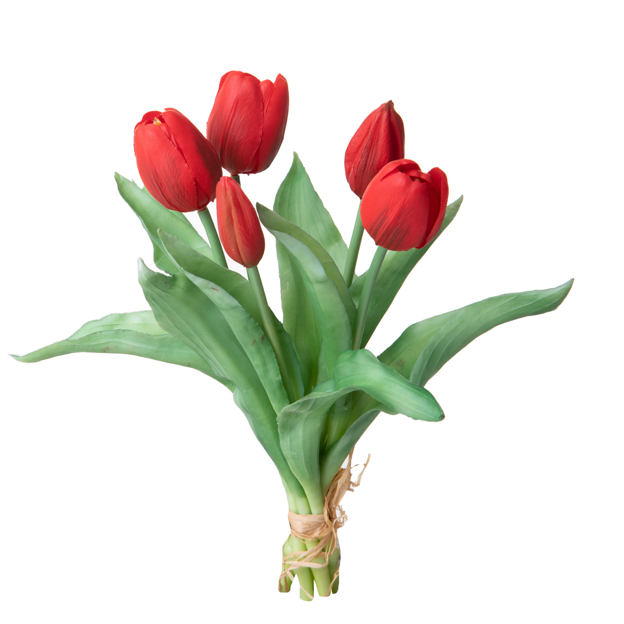 girasole 22 cm 99bot002