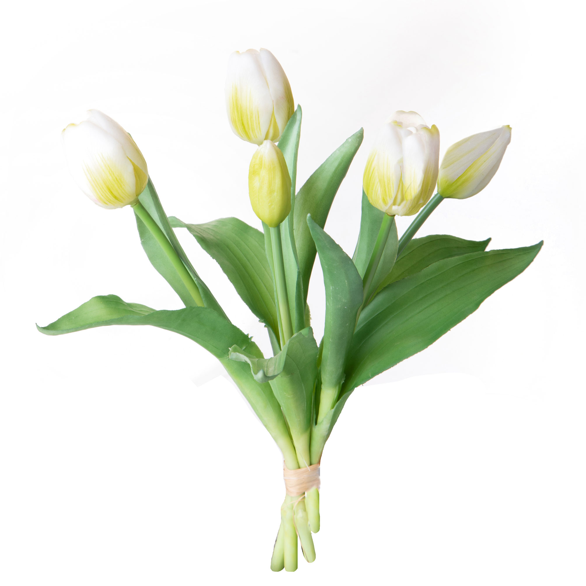 girasole 22 cm 99bot002