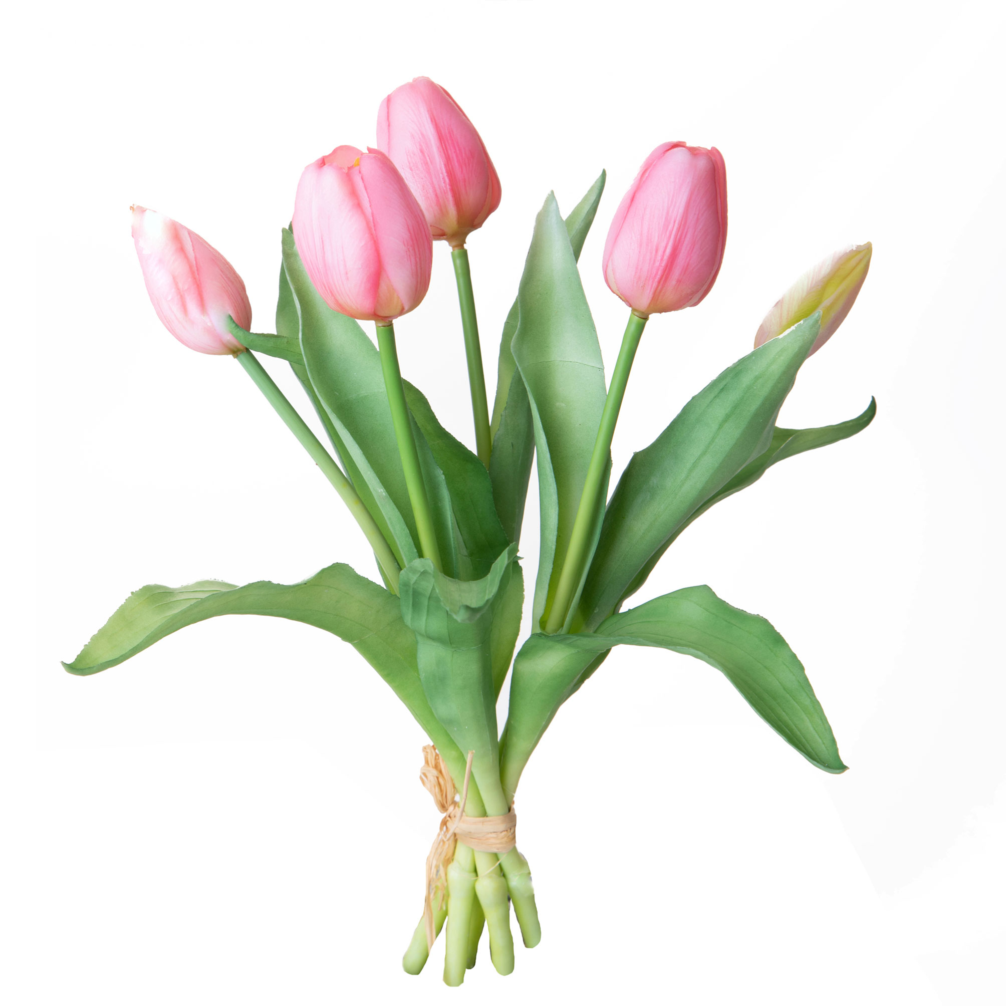 girasole 22 cm 99bot002