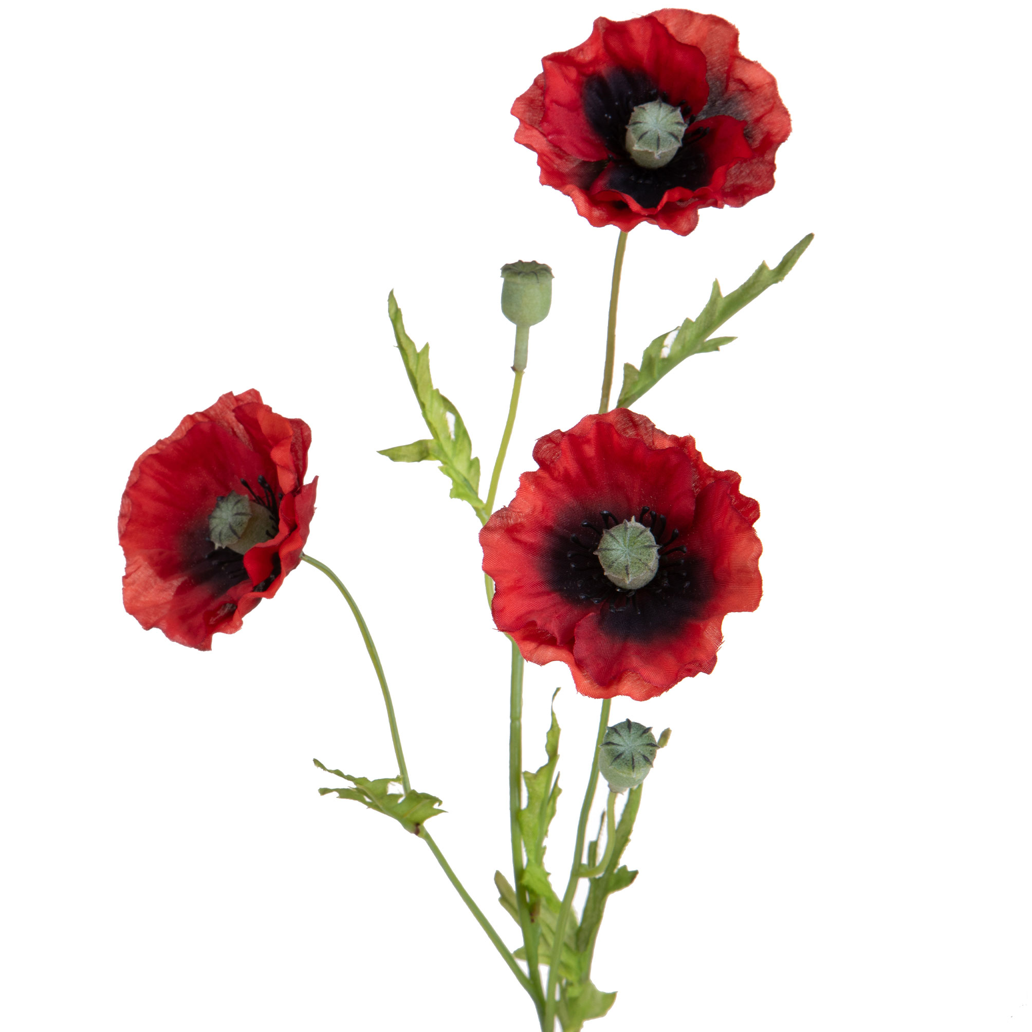 girasole 22 cm 99bot002