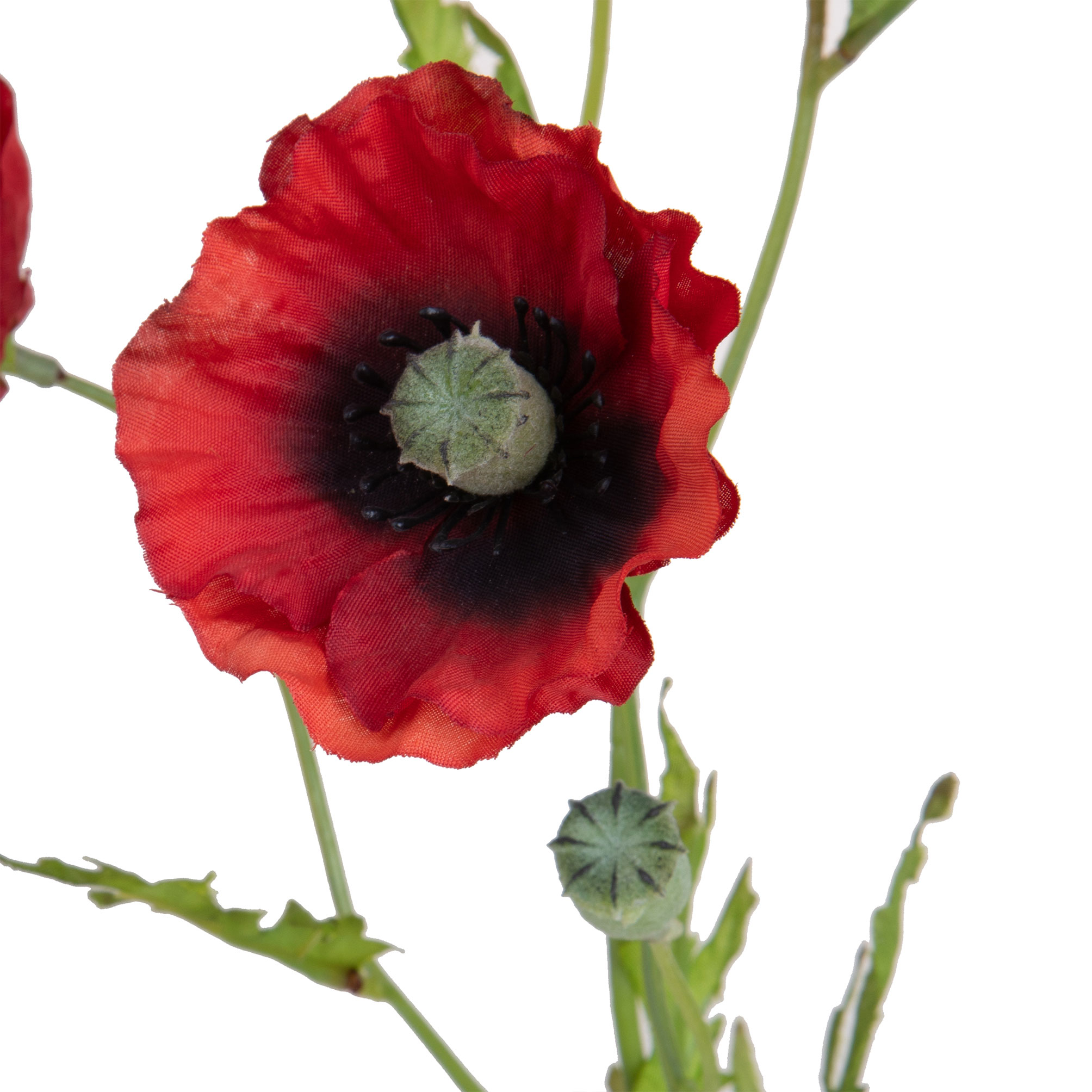 girasole 22 cm 99bot002