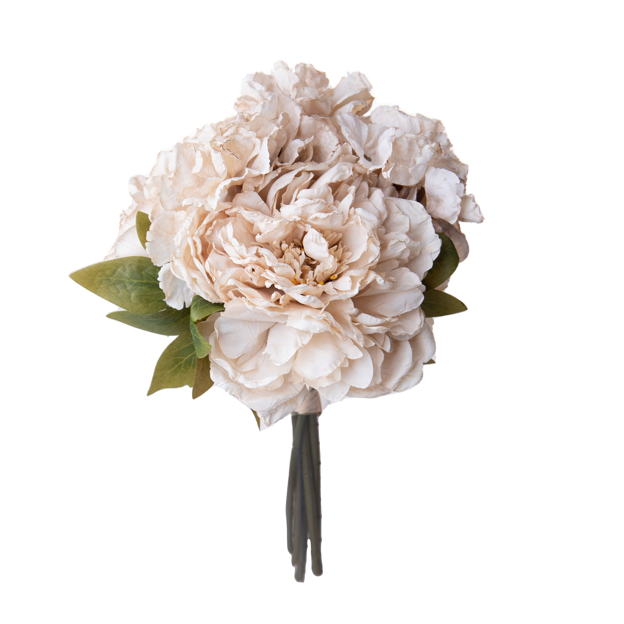 girasole 22 cm 99bot002