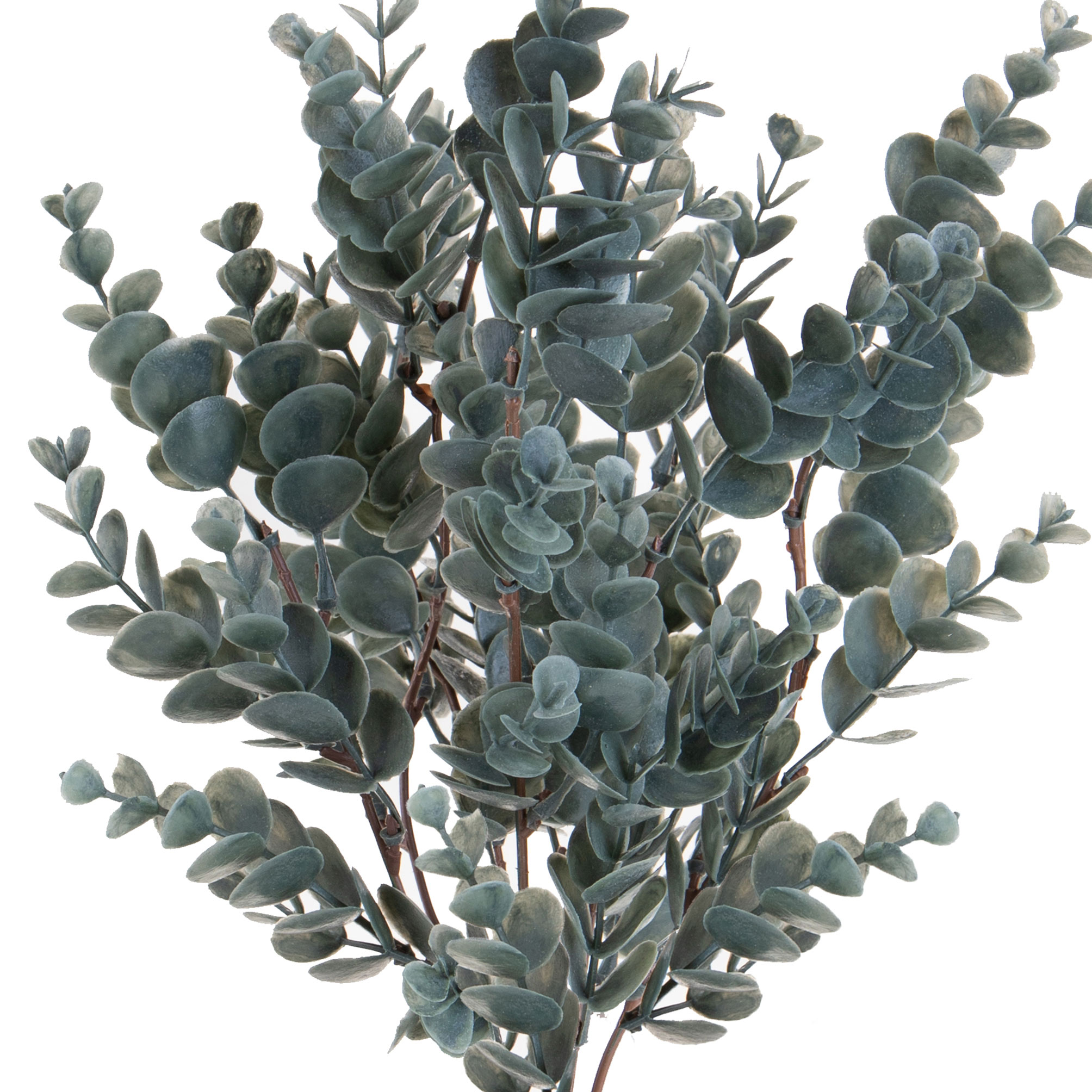 girasole 22 cm 99bot002