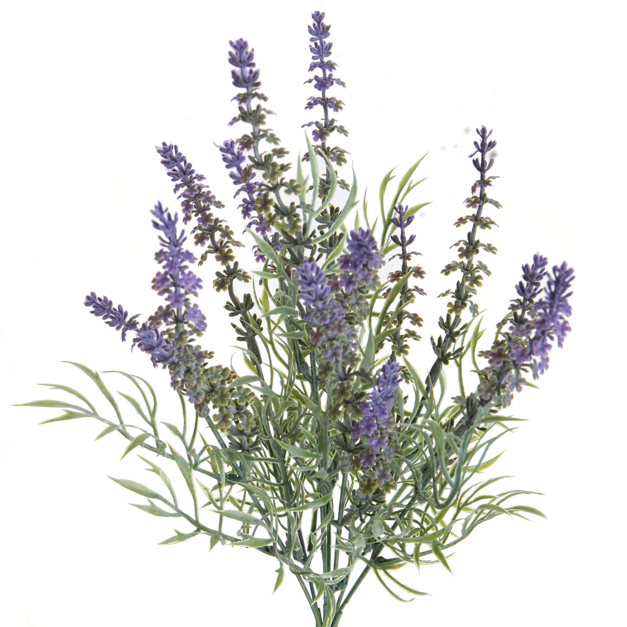 girasole 22 cm 99bot002