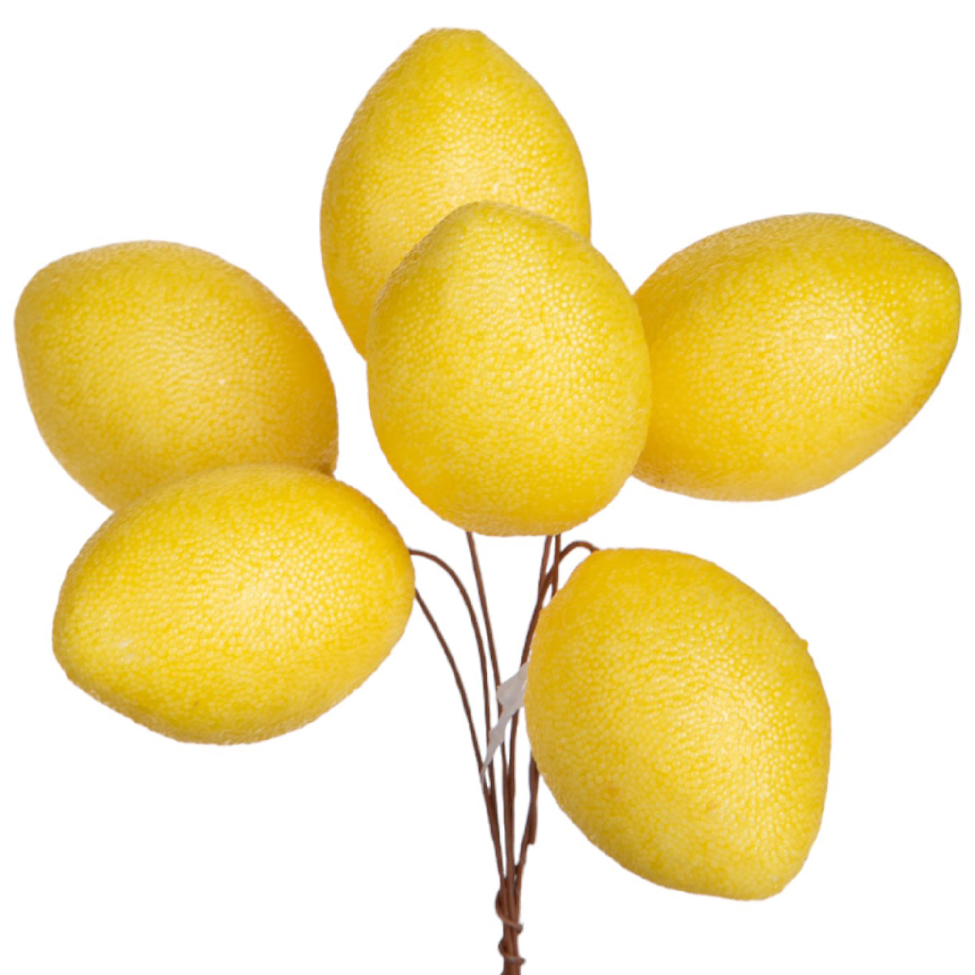 girasole 22 cm 99bot002