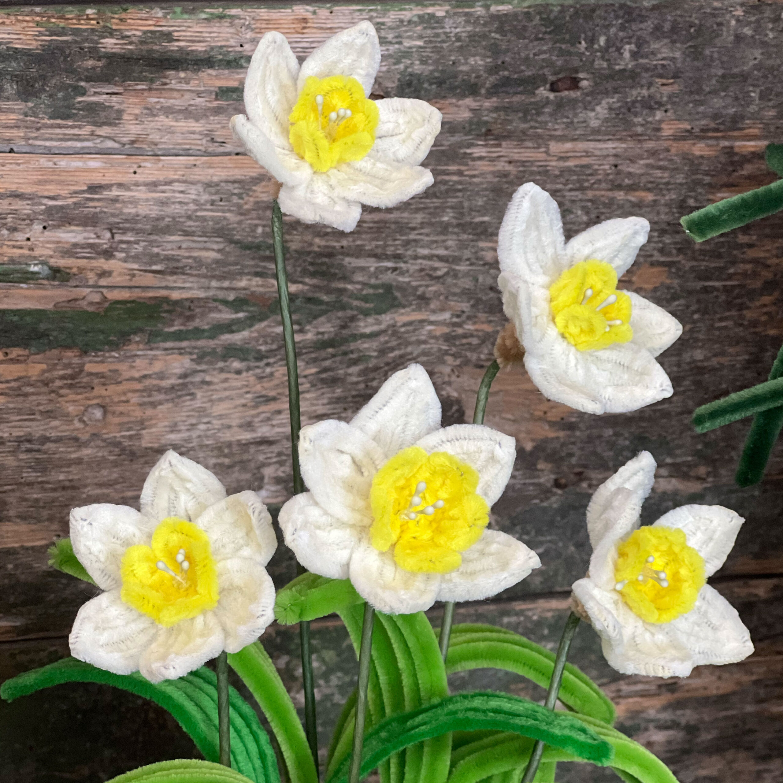 Fiori bianchi e gialli su sfondo rustico