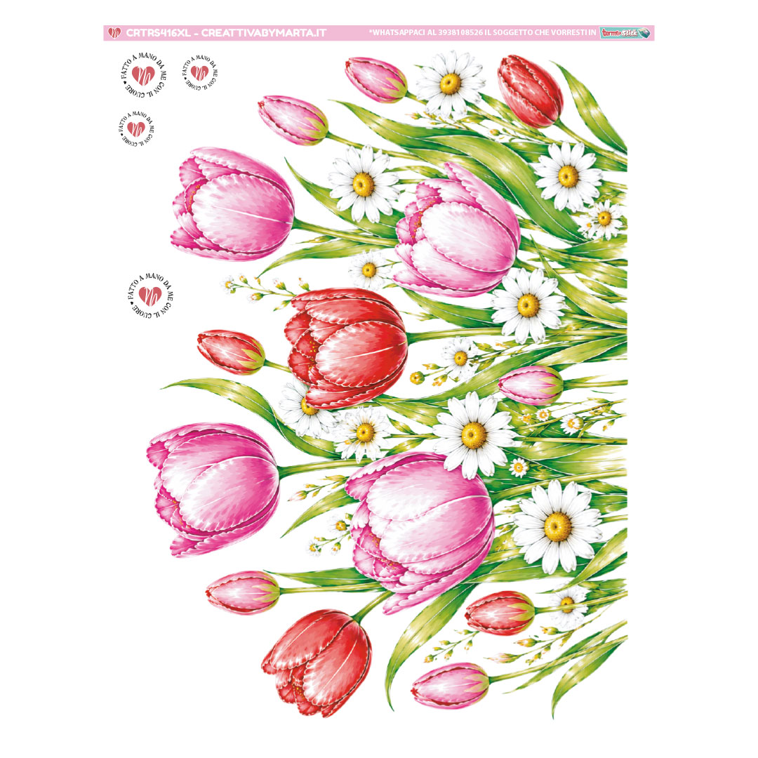 Tulipani rosa e rossi con margherite bianche