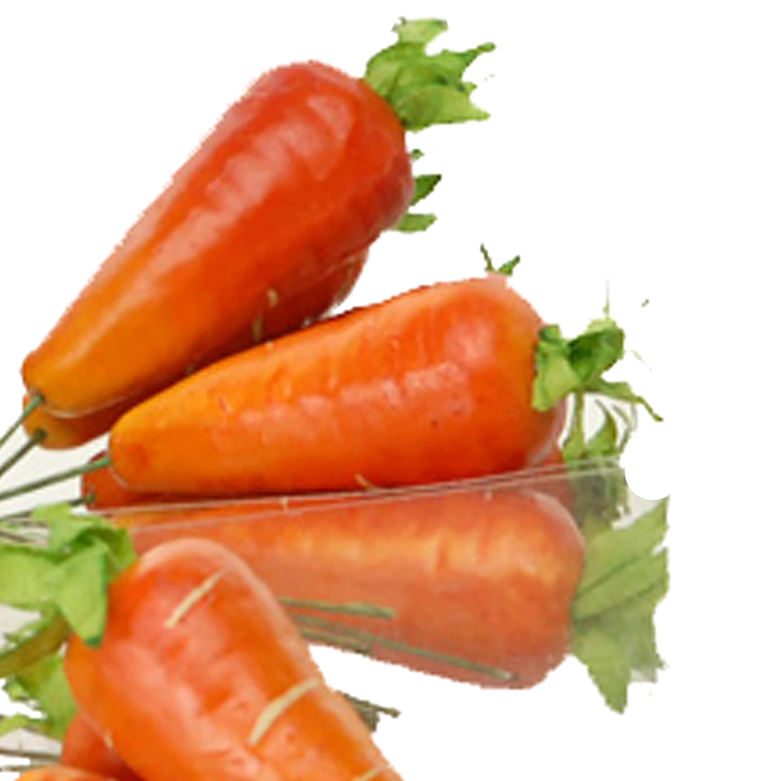 Carote fresche con foglie verdi