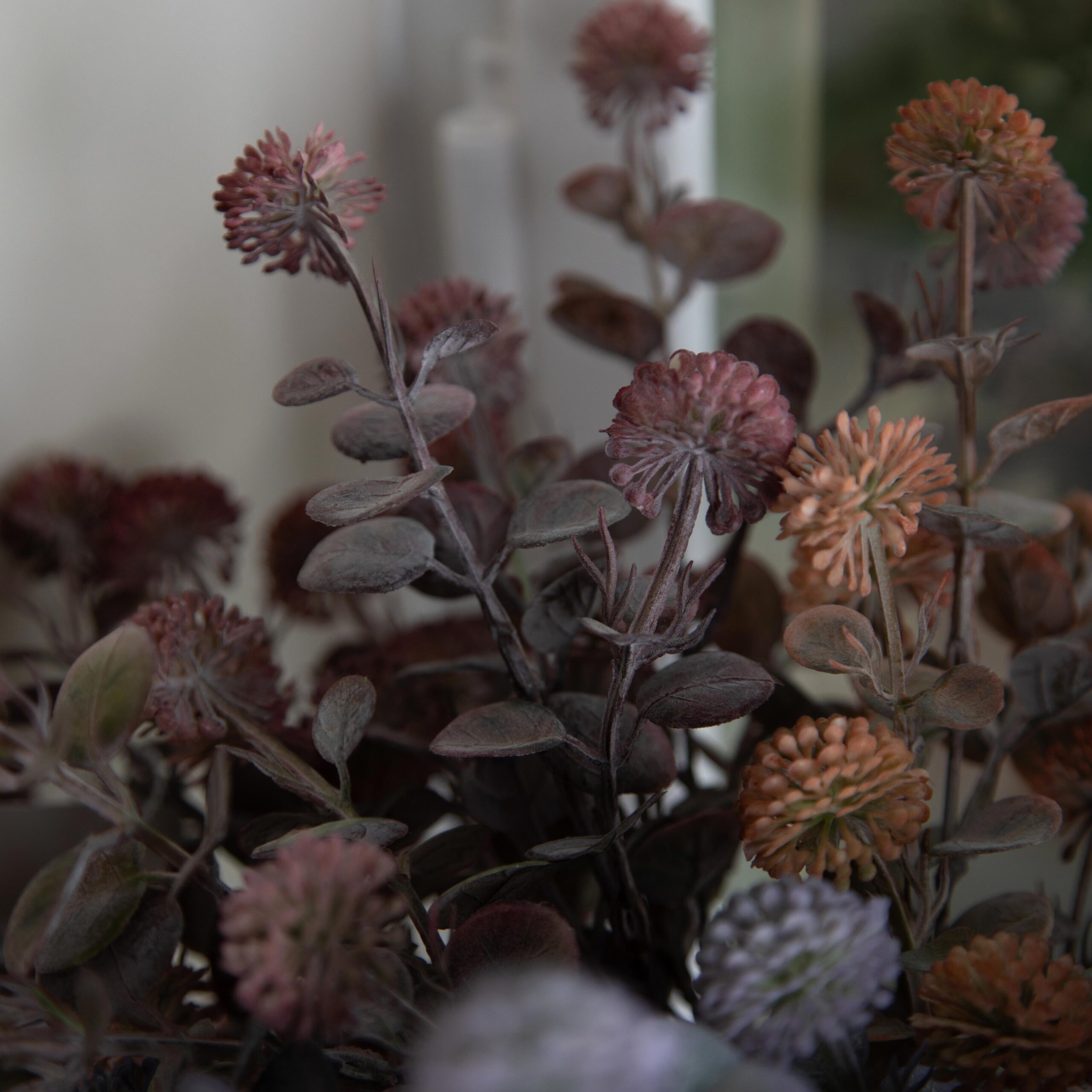 Primo piano di fiori secchi decorativi