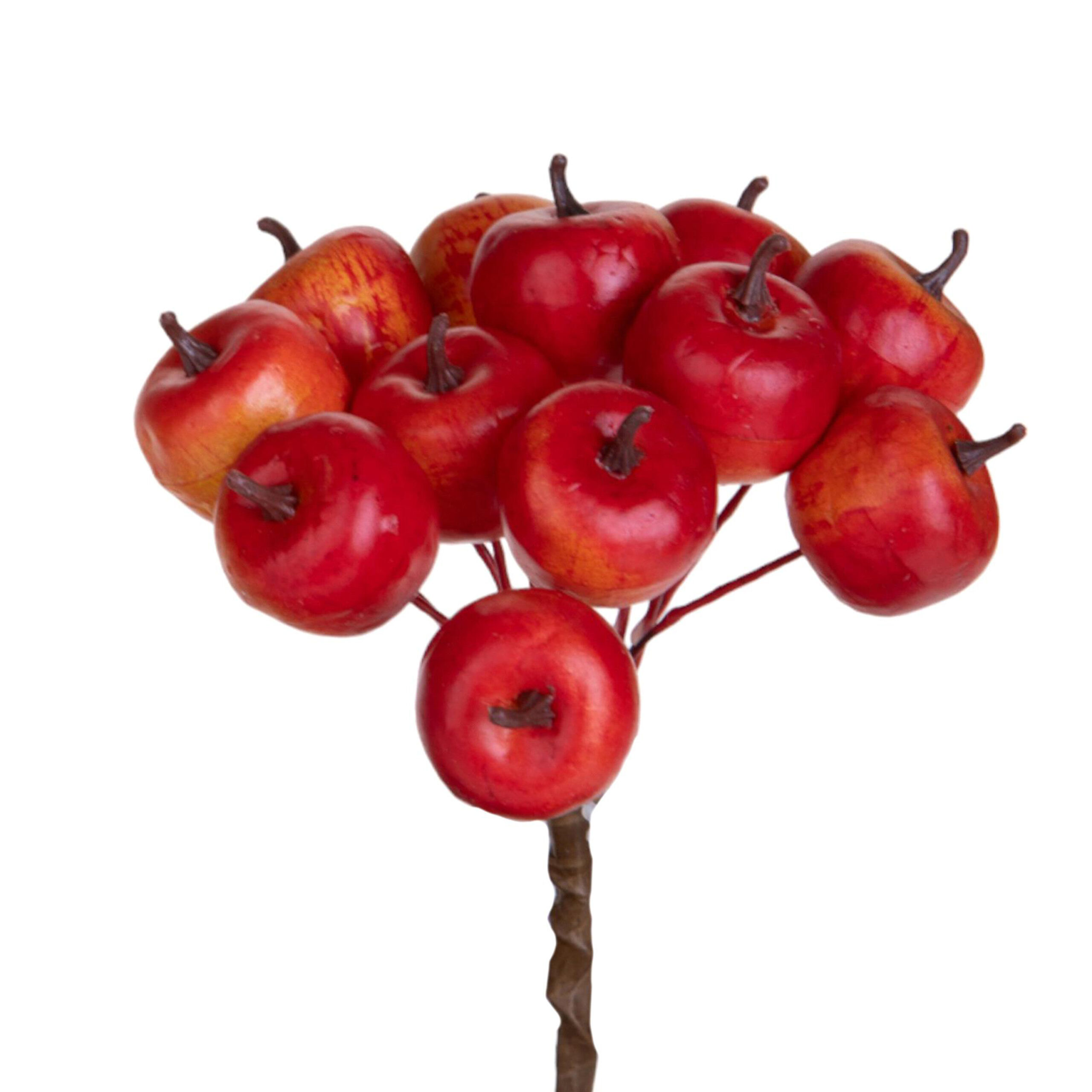 Grappolo di piccole mele rosse su ramo