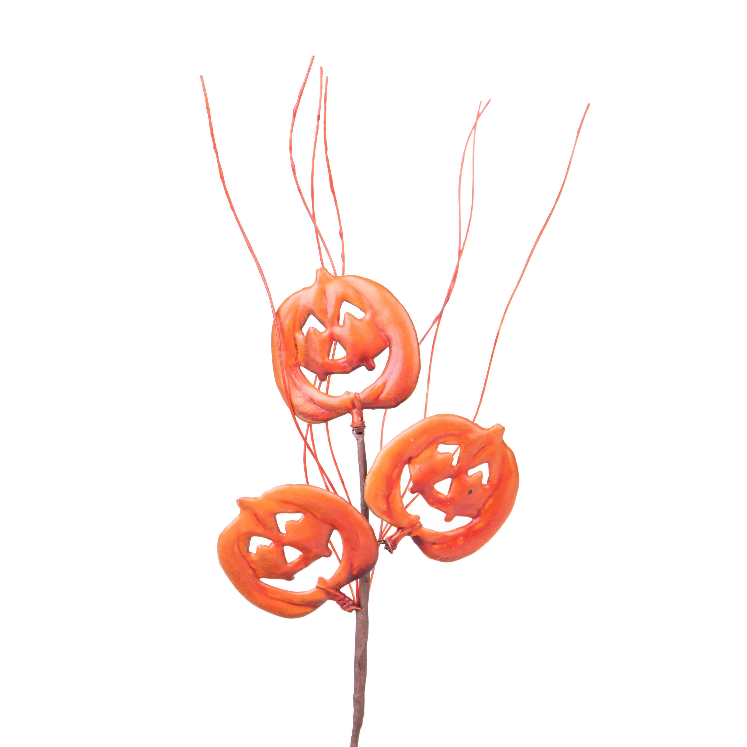 Decorazioni zucche di Halloween su sfondo bianco
