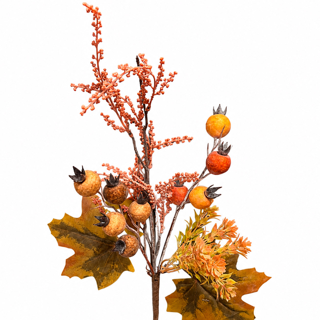 Ramo autunnale con bacche arancioni e foglie
